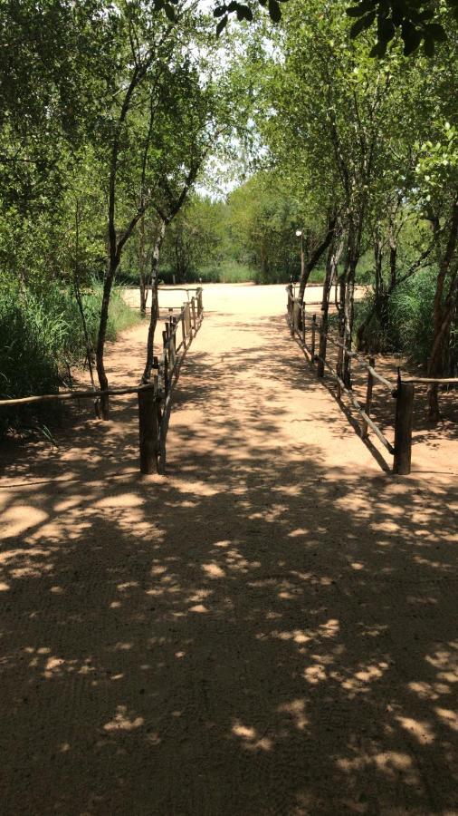 Mzsingitana Tented Camp Hoedspruit Exterior photo