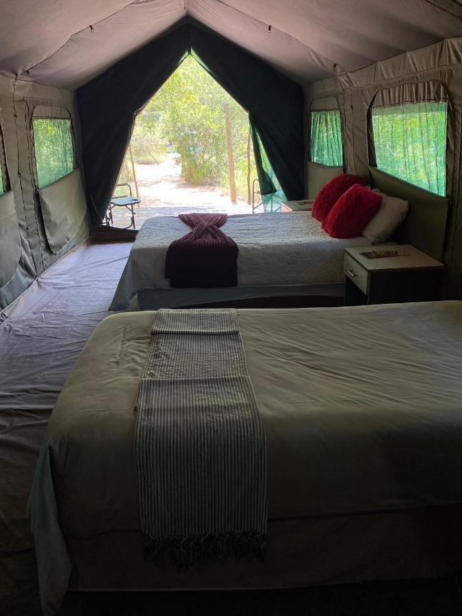 Mzsingitana Tented Camp Hoedspruit Exterior photo