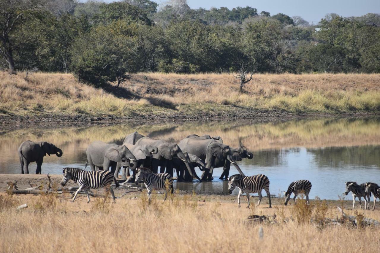Mzsingitana Tented Camp Hoedspruit Exterior photo