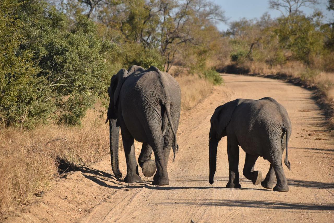 Mzsingitana Tented Camp Hoedspruit Exterior photo