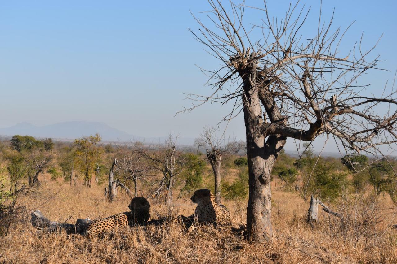 Mzsingitana Tented Camp Hoedspruit Exterior photo