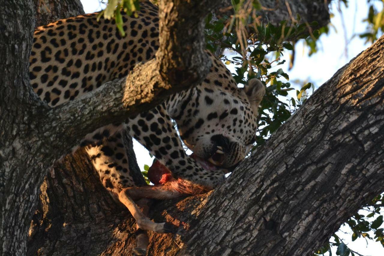 Mzsingitana Tented Camp Hoedspruit Exterior photo
